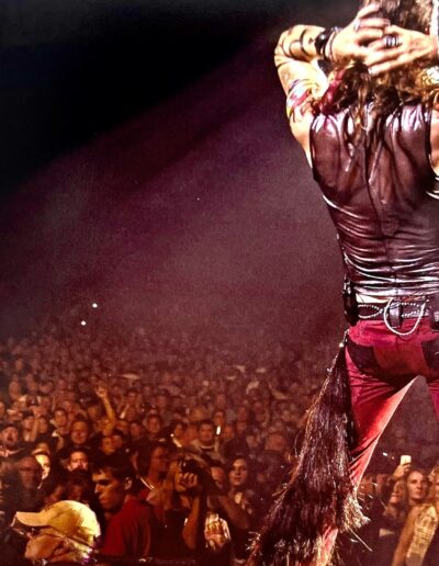 2014 Aerosmith concert crowd portrait
